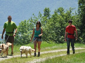 Cani-randonnée avec Run Arctic
