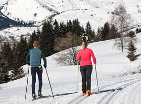 Biathlon